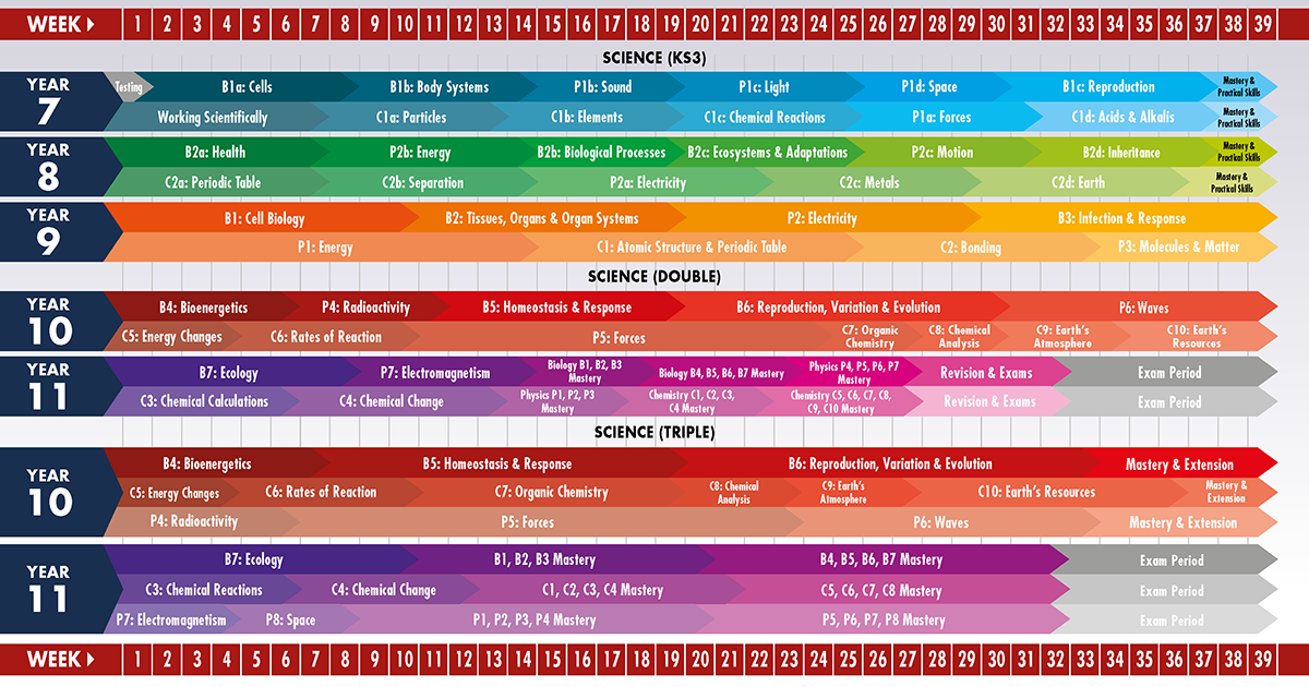 science curriculum plan