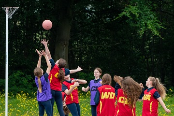 netball courts