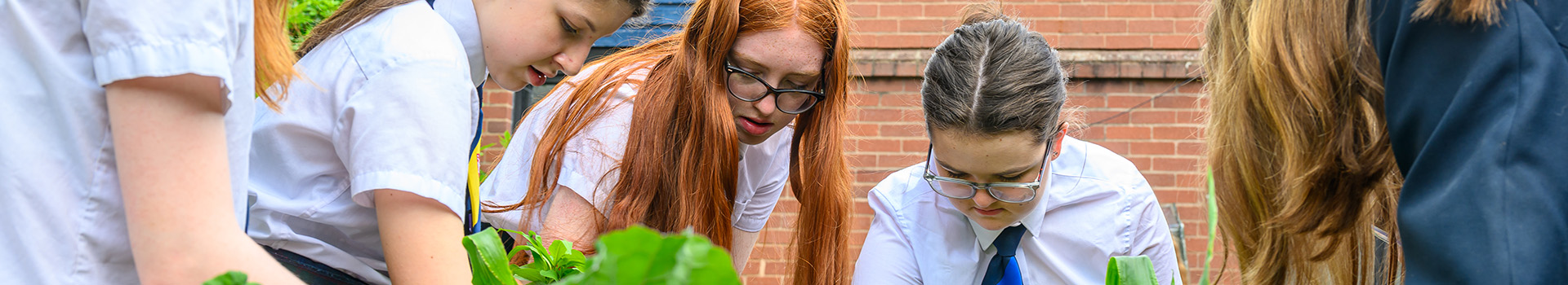 Mental Health and Wellbeing Resources