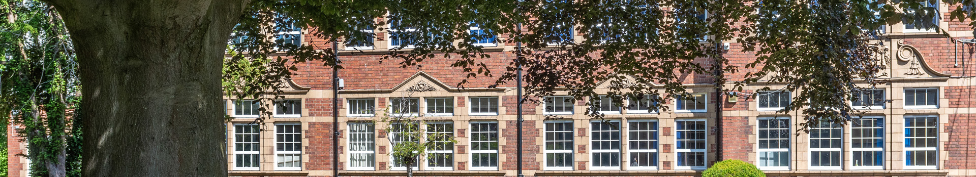 1:1 Device Programme