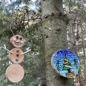 Christmas Decorations for Comer Woods