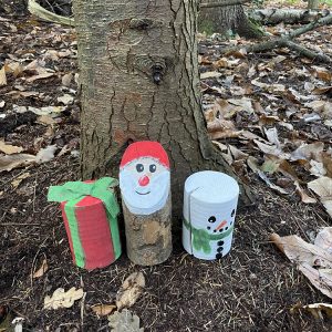 Christmas Decorations for Comer Woods