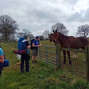Four-legged friends along the way