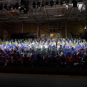 Primaries Preview Performance